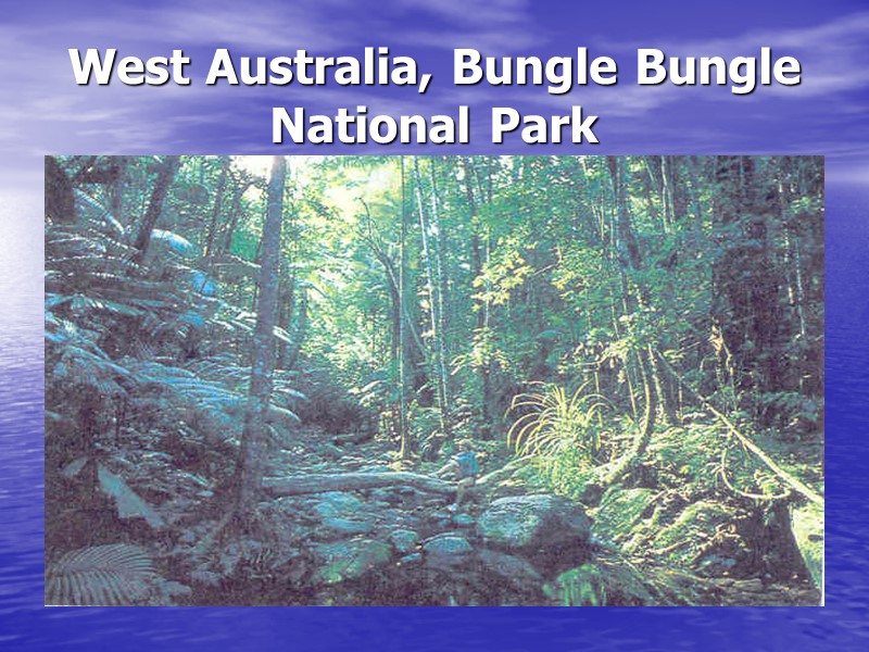 West Australia, Bungle Bungle  National Park